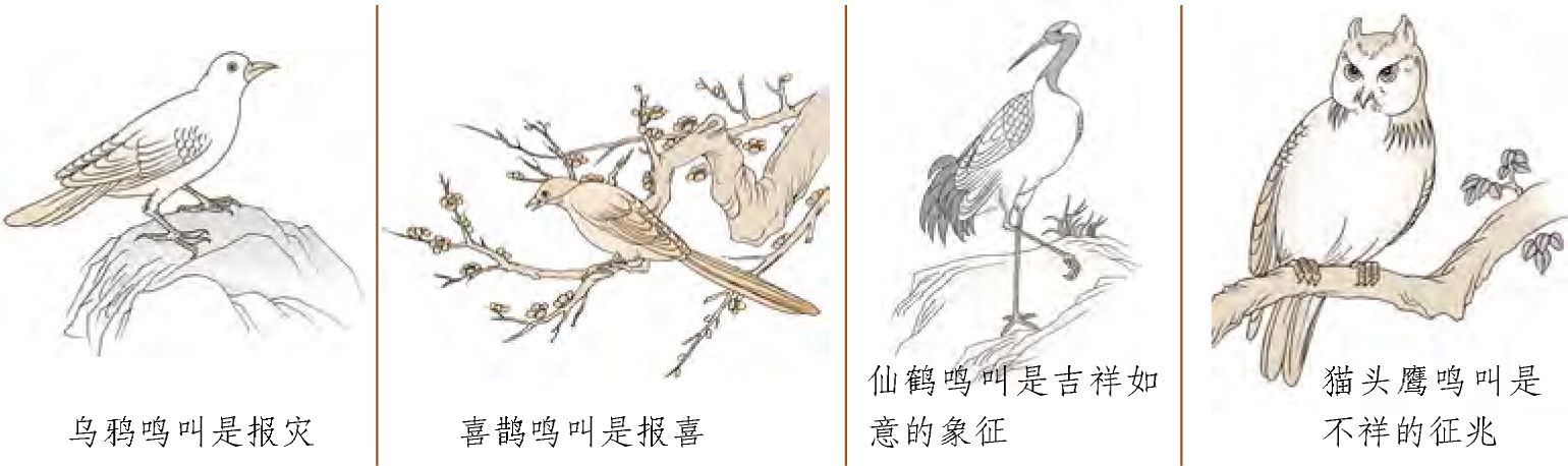 第三章 走进易学预测之门 梅花易数的占卜总诀 - 图30