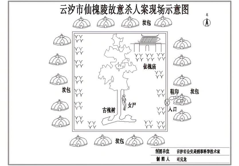 第六案 古树冤魂 - 图1