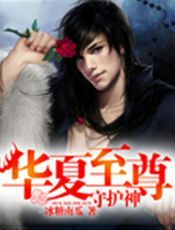 华夏至尊守护神
