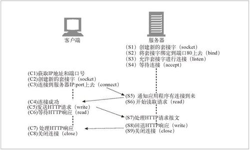 4.1　TCP 连接 - 图6