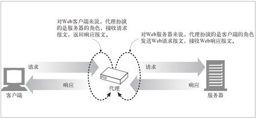 6.1　Web 的中间实体 - 图1