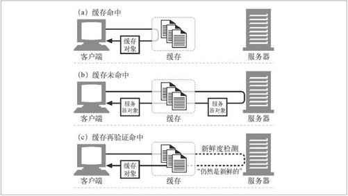 7.5　命中和未命中的 - 图1