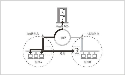 7.6　缓存的拓扑结构 - 图4