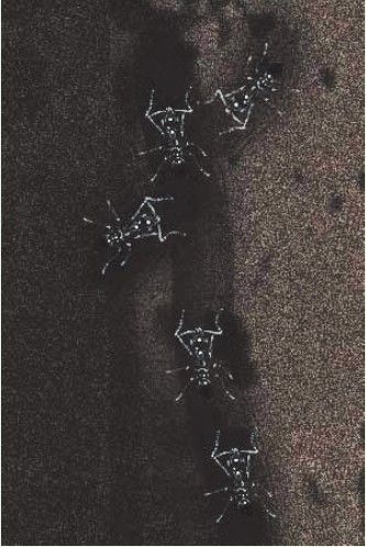 figure_0165_0180