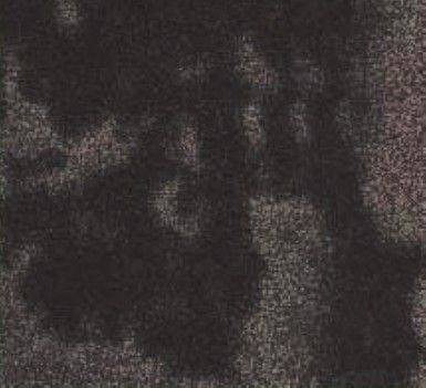 figure_0165_0181