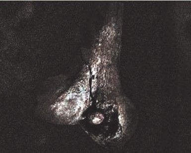 figure_0166_0184