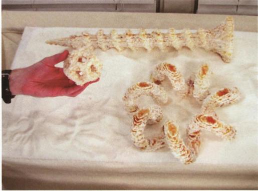 FABRICATED The New World of 3D Printing 译后记 - 图19