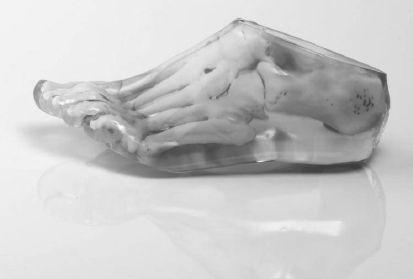 第7章 “活墨”生物打印：人体器官可以打印了 - 图8