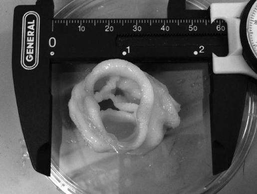 第7章 “活墨”生物打印：人体器官可以打印了 - 图7