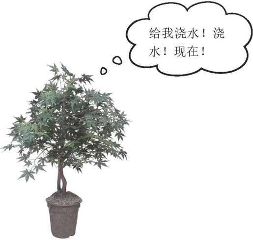 说明书：让盆栽说话 - 图1