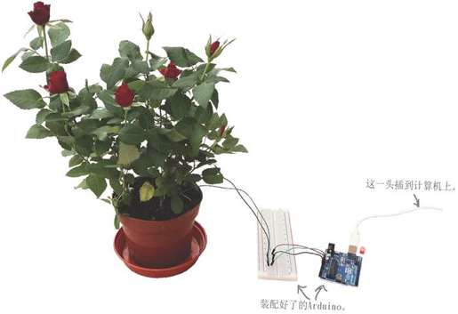 植物监控仪下线 - 图1