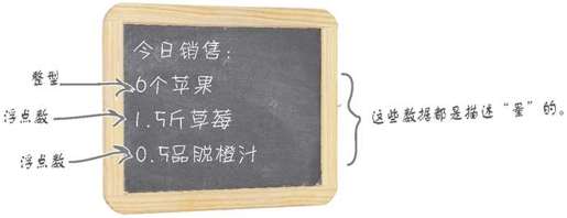 同一类事物，不同数据类型 - 图1