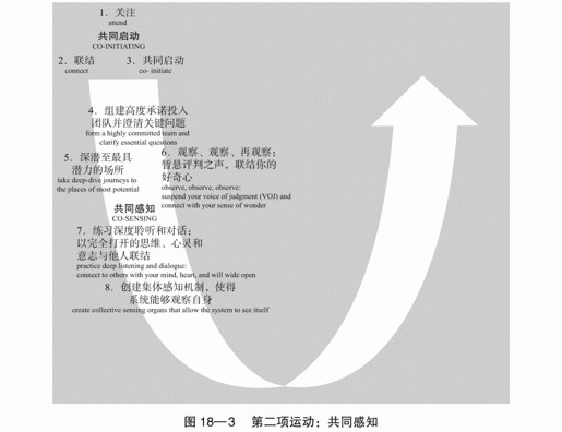 18 自然流现的原则和实践：引领深刻的创新和变革 - 图4