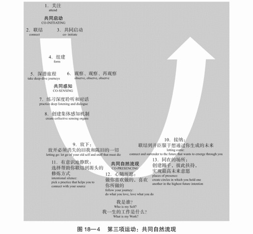 18 自然流现的原则和实践：引领深刻的创新和变革 - 图5