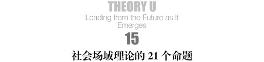 15 社会场域理论的21个命题 - 图1