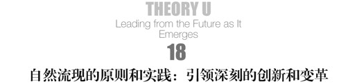18 自然流现的原则和实践：引领深刻的创新和变革 - 图1