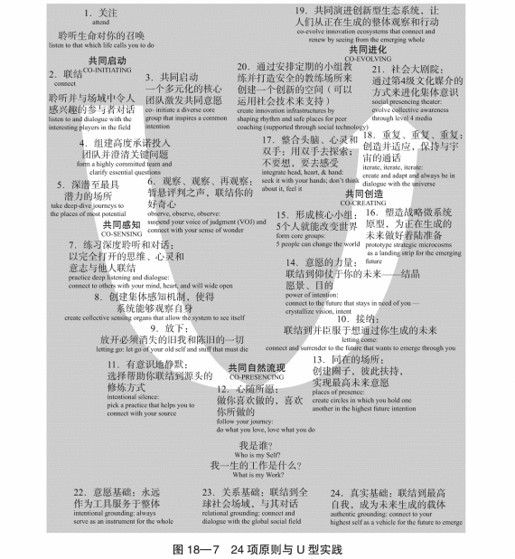 18 自然流现的原则和实践：引领深刻的创新和变革 - 图9