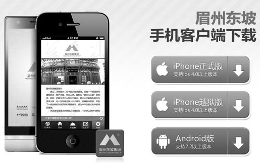 搭建电商平台，奠定O2O战略基础 - 图2