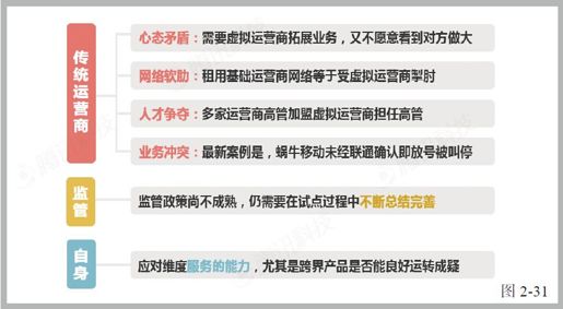 第八节 三大运营商？不止吧 - 图5