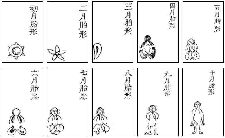 古代生育：妇人娩乳，十死一生 - 图4