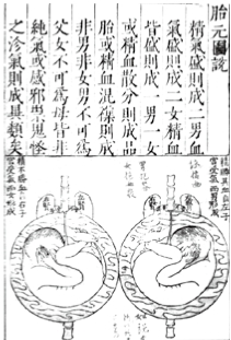 生子崇拜：不孝有三，无后为大 - 图3