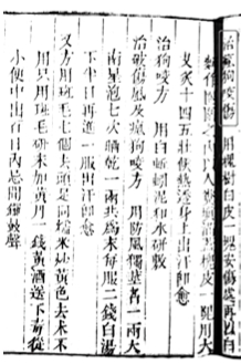 狗咬伤：妖象犬形让人惊恐 - 图2