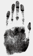 古代法医简史 - 图1