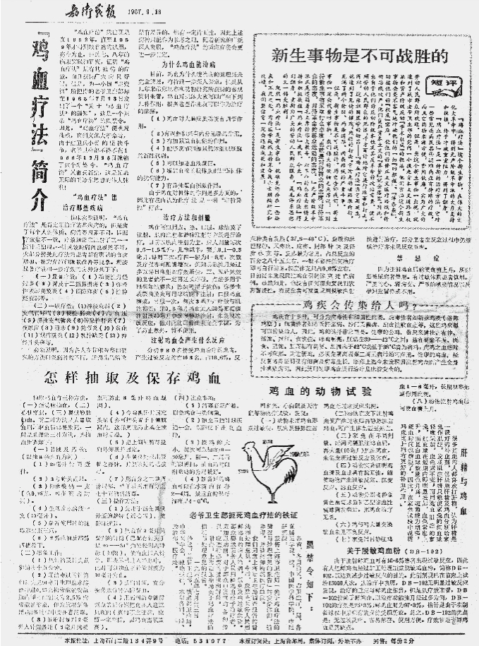 鸡血疗法：狂热年代的神奇秘方 - 图4