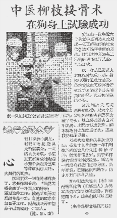 柳枝接骨术：真正的“天人合一” - 图3