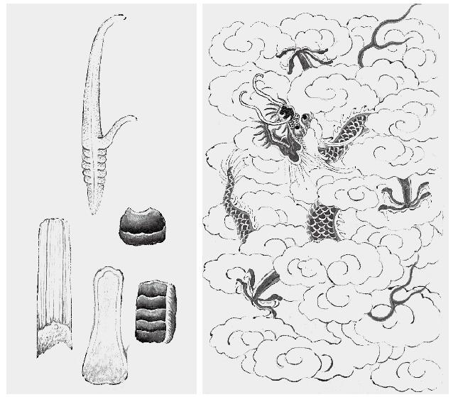 草毒之害：以巫术为依据的药理 - 图2