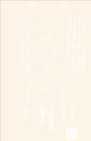 专题：心跳迷思 - 图2