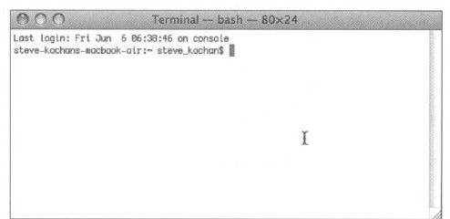 2.1.2　使用Terminal - 图2