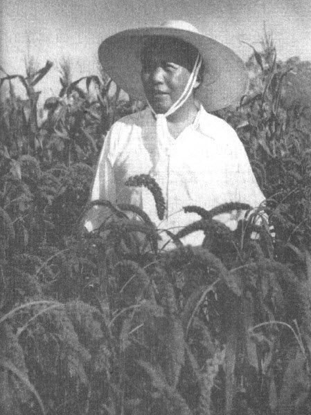 1958 “超英赶美” - 图6