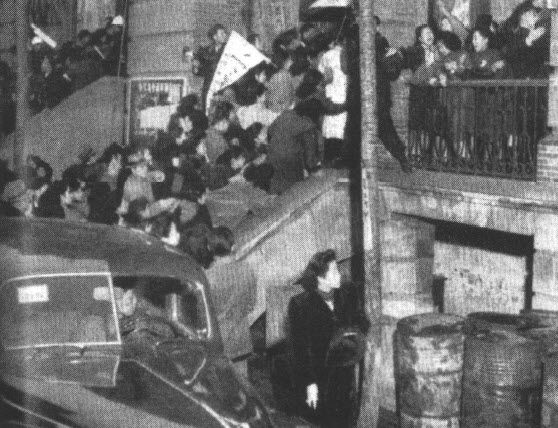 1948 最后的“打虎” - 图6