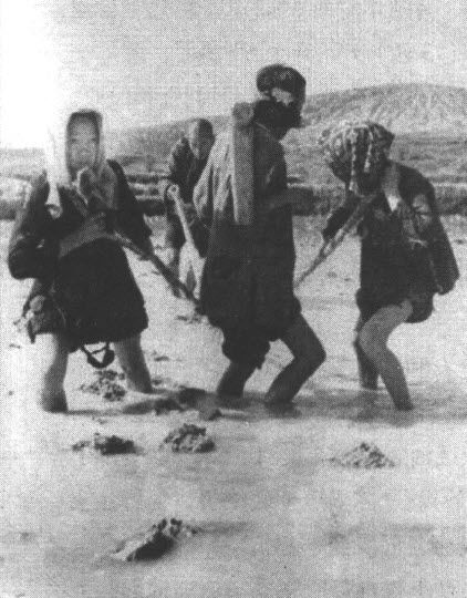 1944 此消彼长的中国 - 图7