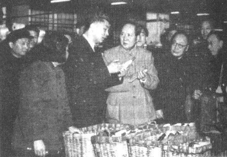 1956 “绝种” - 图7