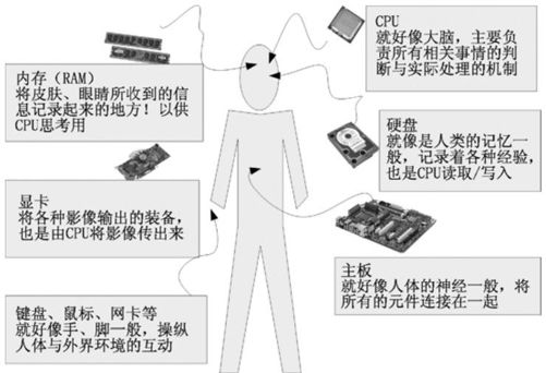 figure_0020_0004