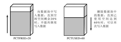 figure_0244_0081