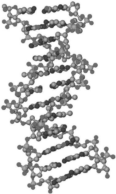 用DNA存储数据 - 图1