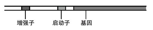 用DNA存储数据 - 图2