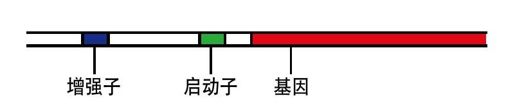 附录 作者简介 - 图52