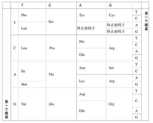 用DNA存储数据 - 图4