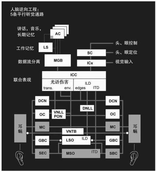 构建人脑模型 - 图4