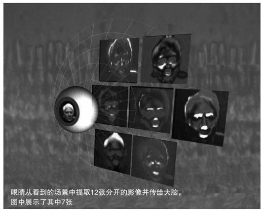 构建人脑模型 - 图5