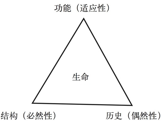 第九章 选择必然 - 图2