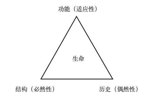 第六章 注定的发展方向 - 图2