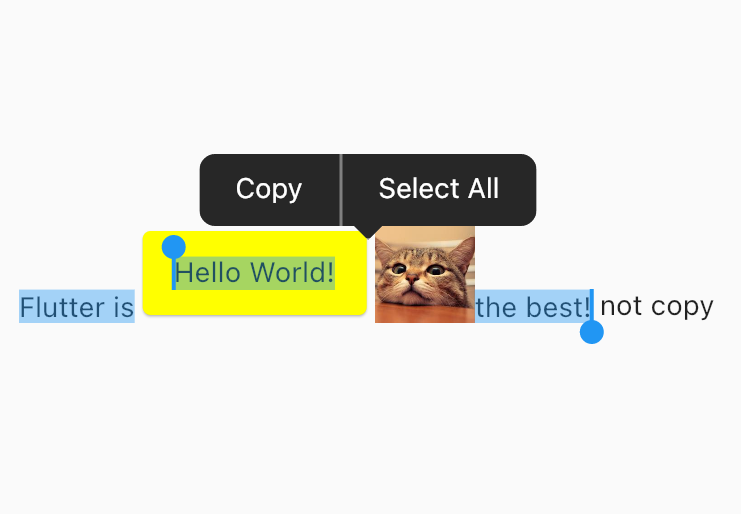 Flutter 3.3 之 SelectionArea 好不好用？用 “Bug” 带你全面了解它 - 图27