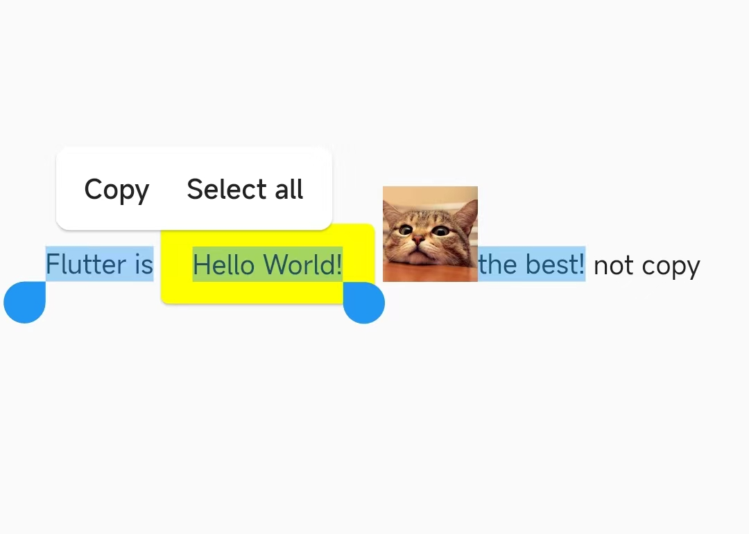 Flutter 3.3 之 SelectionArea 好不好用？用 “Bug” 带你全面了解它 - 图38