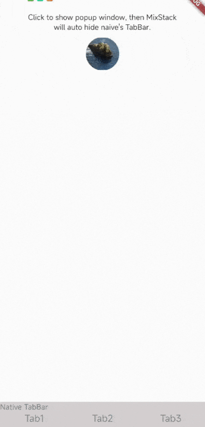 Flutter 工程化框架选择 — add-to-app 的指路明灯 - 图16