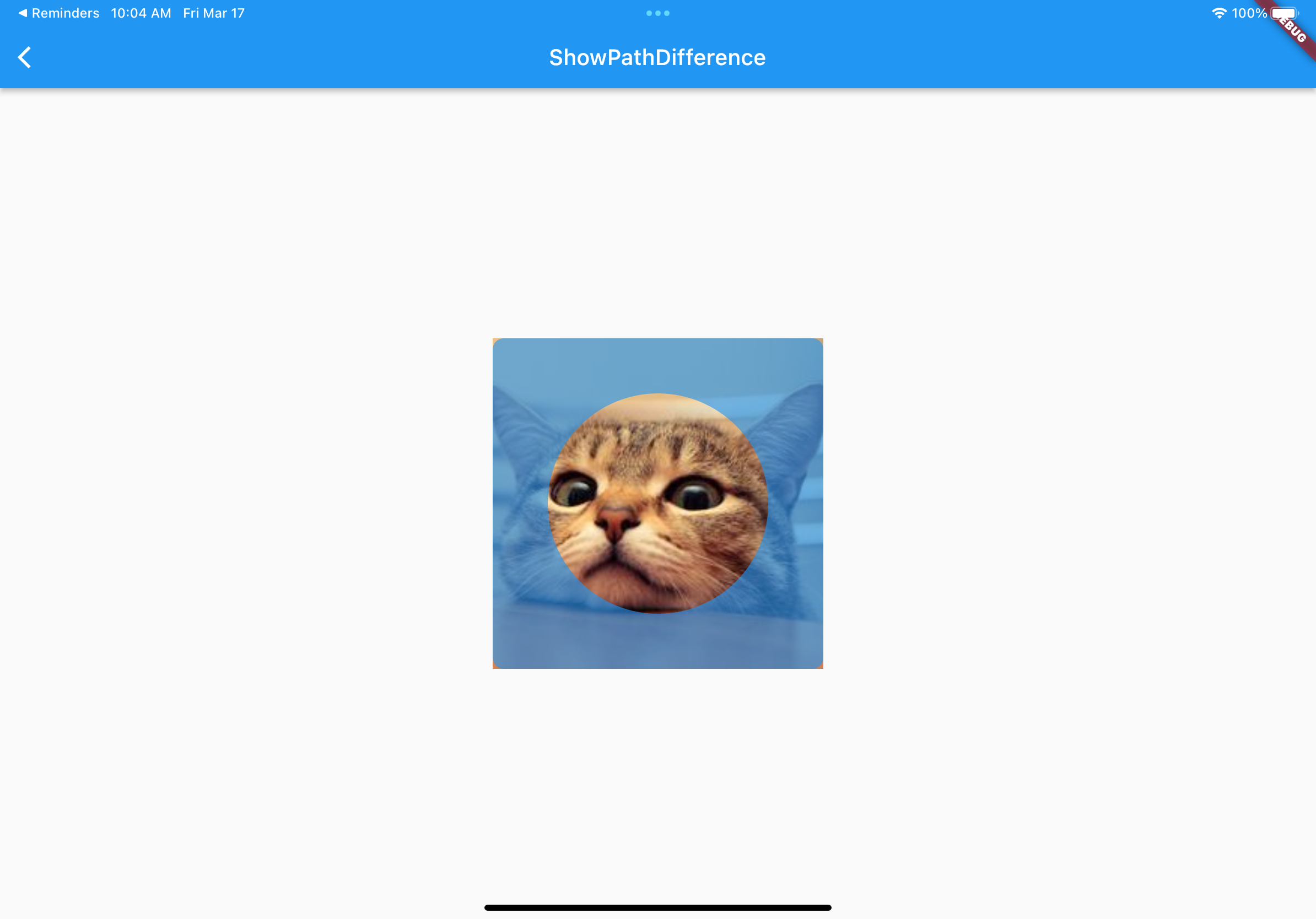 Flutter 小技巧之实现一个精美的动画相册效果 - 图4